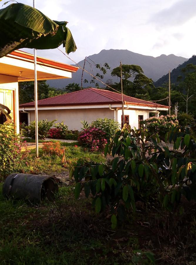 Cabinas El Pilon Rio Celeste Exterior photo